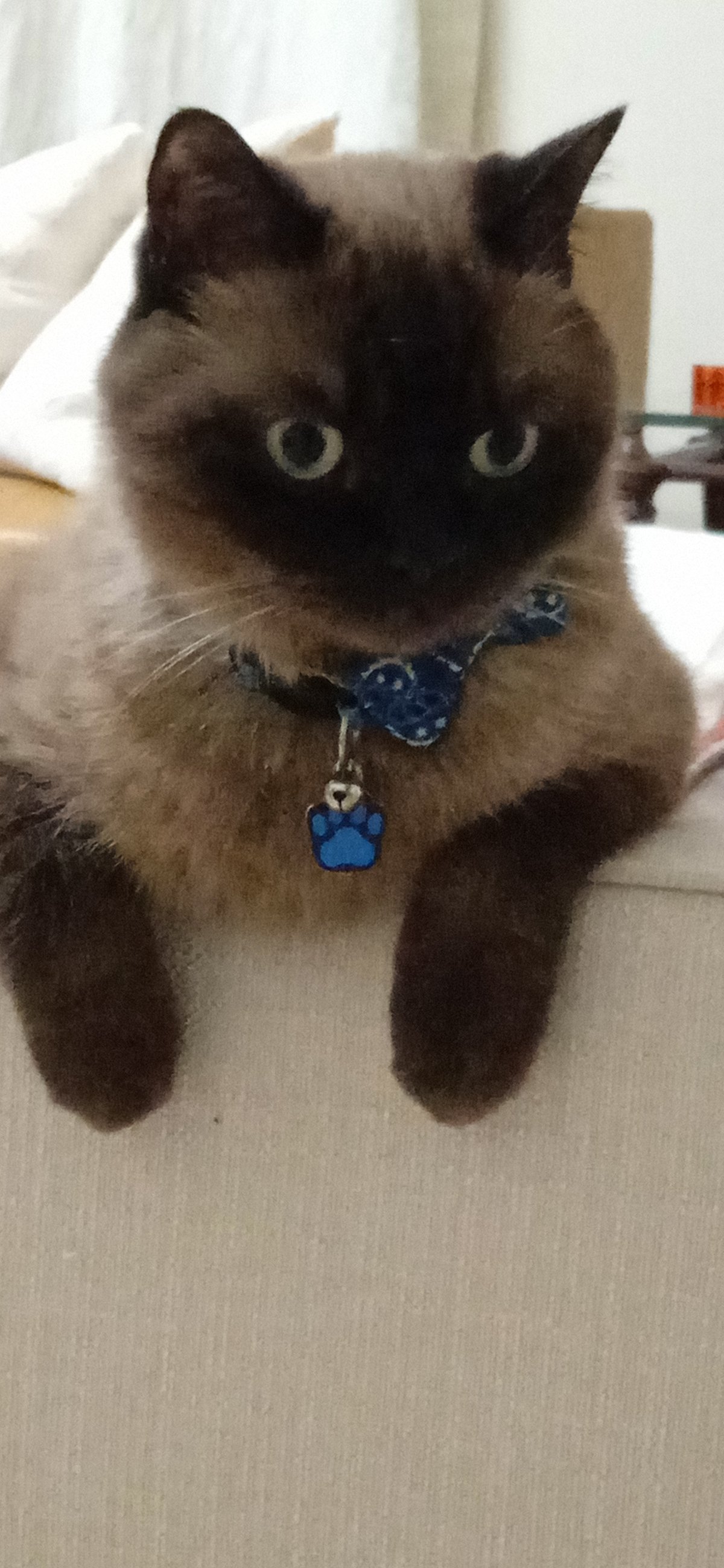 Moku in his spot